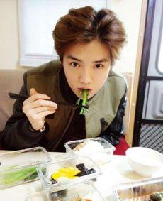 吃货的明星,探寻吃货明星的味蕾秘密 第1张 吃货的明星,探寻吃货明星的味蕾秘密 第1张