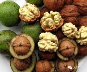 韩国核桃娱乐,引领潮流的娱乐巨头  第1张