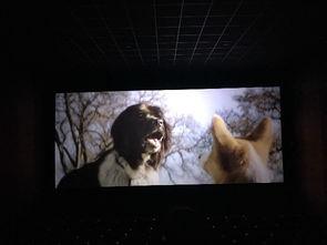 两个人相遇的背景音乐,相遇背后的动人音符 第1张 两个人相遇的背景音乐,相遇背后的动人音符 第1张