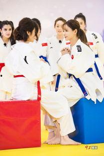 柔道搞笑节目,笑料横生的摔跤盛宴  第1张