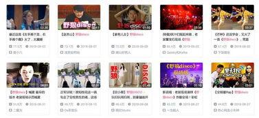 野狼娱乐,引领潮流的娱乐新势力 第1张 野狼娱乐,引领潮流的娱乐新势力 第1张