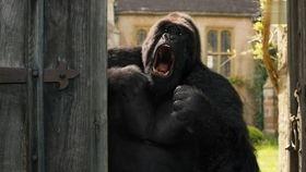 动物搞笑电影免费,动物界的欢乐喜剧盛典 第1张 动物搞笑电影免费,动物界的欢乐喜剧盛典 第1张