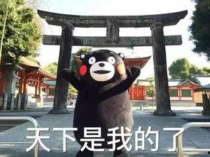 张双臂 表情包 第1张 张双臂 表情包 第1张