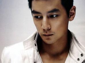 国民男神明星,闪耀舞台的璀璨星辰  第3张